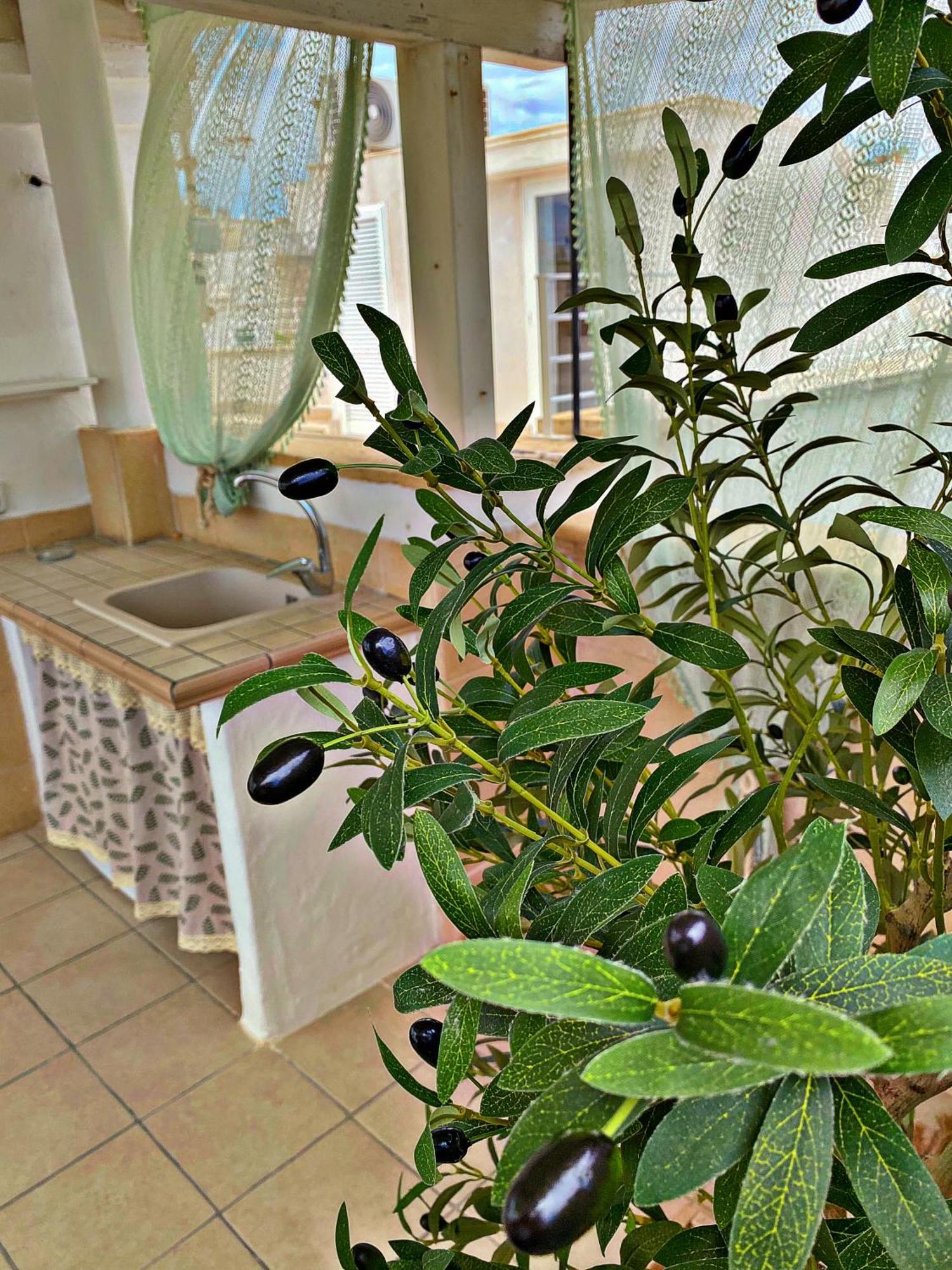 Essential Villa Полиняно а Маре Екстериор снимка